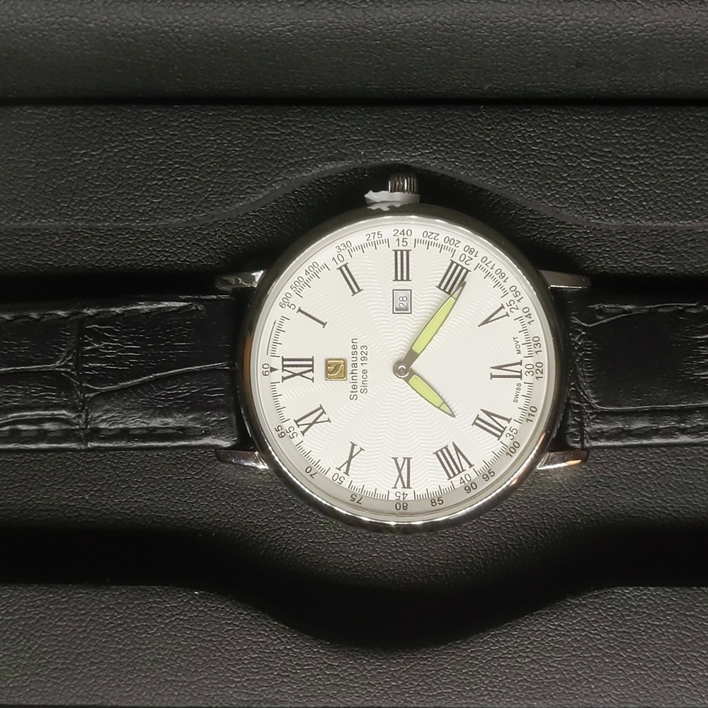 Men's Steinhausen Watch MV493S Brand New in Box